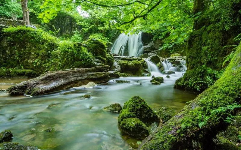 绿色节能